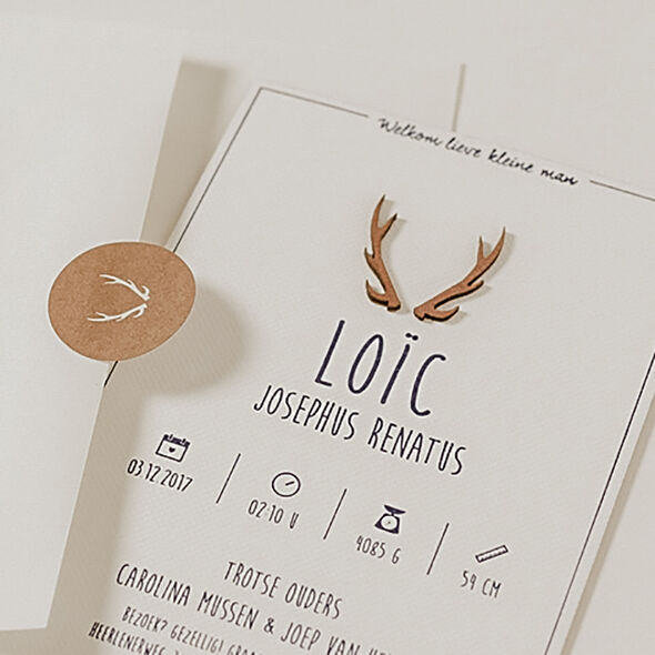 Houten gewei | koper | studiokuuk