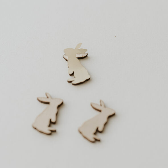 Houten konijn | studiokuuk